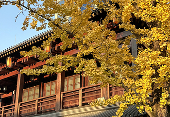 京杭大运河杭州景区第 53 张图片