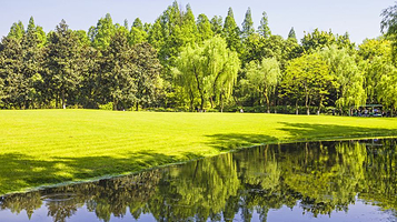 醉美西湖观光游乐园