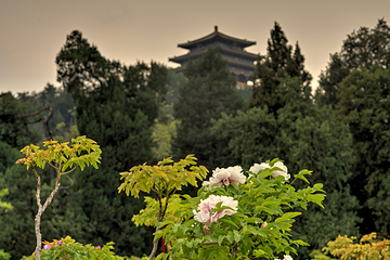 景山公园第 77 张图片
