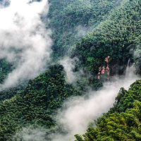 蜀南竹海风景名胜区-忘忧谷