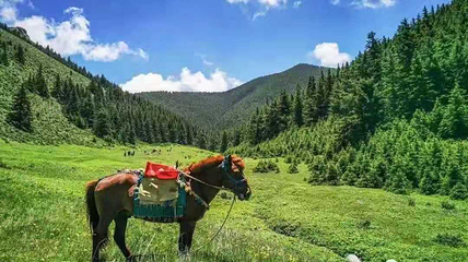 贺兰山广宗寺（南寺）生态旅游区第 18 张图片