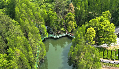 九真山风景区第 41 张图片