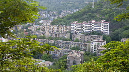 东区凤凰花公园第 1 张图片