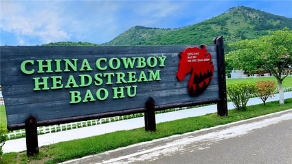 青岛宝湖奔马园第 1 张图片