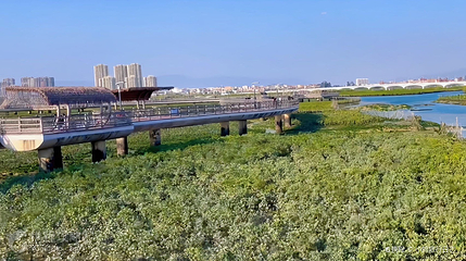 下潭尾滨海湿地公园第 4 张图片
