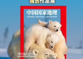 中国国家地理·中国野生生物影像年赛精选作品展
