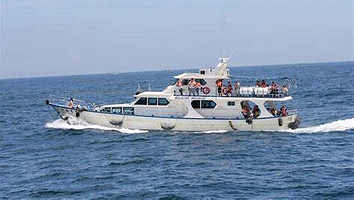 宜兰龟山岛赏鲸｜新福丰36号 JIN36