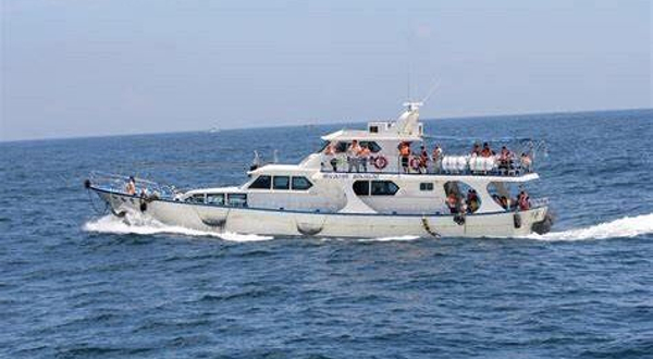 宜兰龟山岛赏鲸｜新福丰36号 JIN36