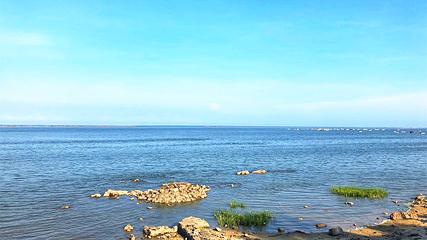 北海金海湾红树林生态旅游区第 50 张图片