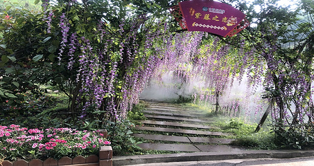 古郡·花果溪第 21 张图片