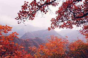 北京药王谷风景区第 18 张图片
