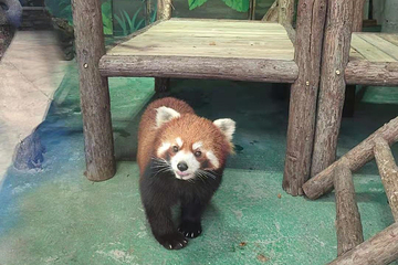 亿利精灵乐园第 59 张图片