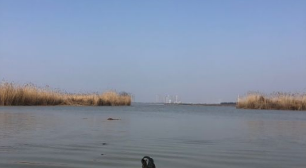 飞驰·奇峰水上运动中心