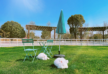 桃园农庄·瑞趣游乐园第 12 张图片