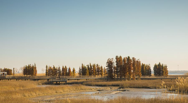 双山岛湿地公园