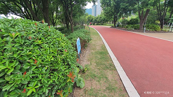 南园滨江绿地-南园公园