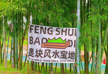 鸭洞河门头石营地第 12 张图片