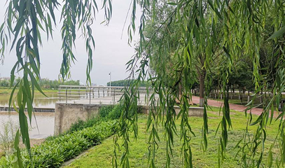 科尔沁公园第 3 张图片