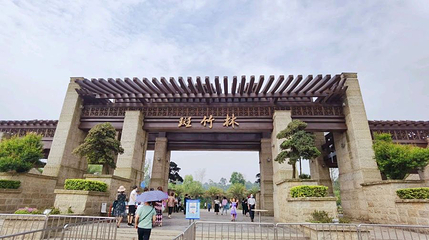 成都新津斑竹林景区第 1 张图片