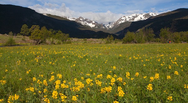 洛矶山国家公园