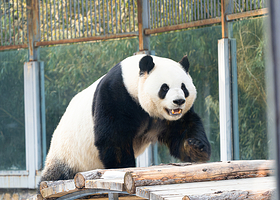 北京动物园