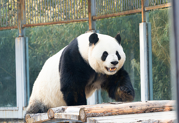 北京动物园第 5 张图片