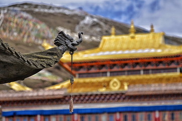 塔公寺第 4 张图片