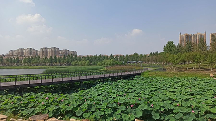 南溪湿地公园第 1 张图片