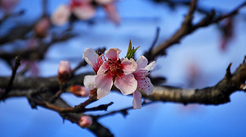 十里湖生态湿地公园