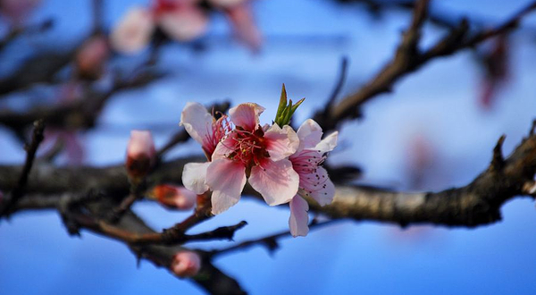 十里湖生态湿地公园