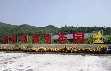 金鸡山霞贯双溪生态园第 15 张图片