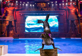 波塞冬海底世界第 104 张图片