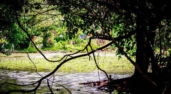 爱丽丝湖省立公园