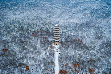 钟山风景名胜区第 232 张图片