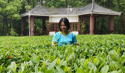 九真山风景区第 62 张图片