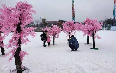 欢乐冰雪园第 4 张图片