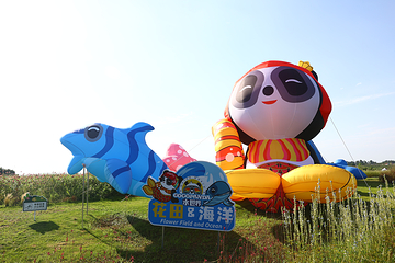 空港花田第 26 张图片