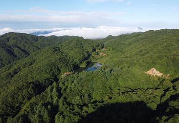 湖北大老岭国家级自然保护区第 9 张图片