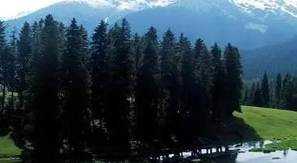 江布拉克黑涝坝