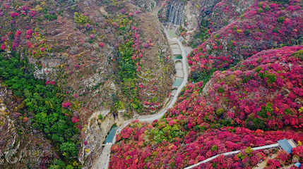 天赐山景区第 9 张图片