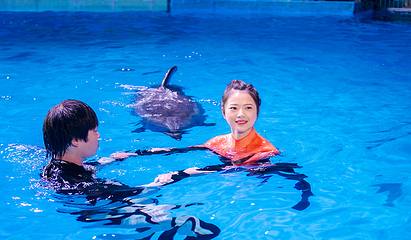 海合安武汉极地海洋公园第 220 张图片
