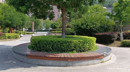 yoyo优优公园第 1 张图片