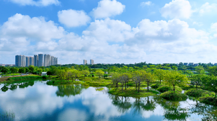 北海冯家江滨海国家湿地公园第 1 张图片