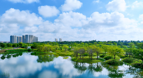北海冯家江滨海国家湿地公园