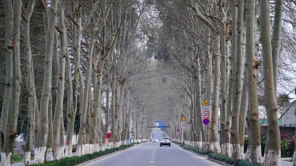 重庆路第 1 张图片