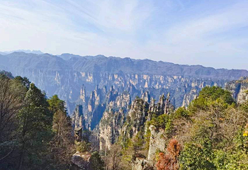 天子山风景区第 62 张图片