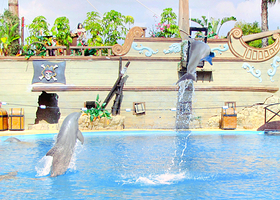 海洋世界水族馆