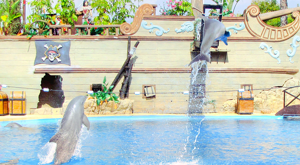 海洋世界水族馆