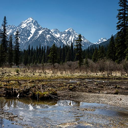 王朗大熊猫探秘营地