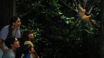 万态野生动物世界